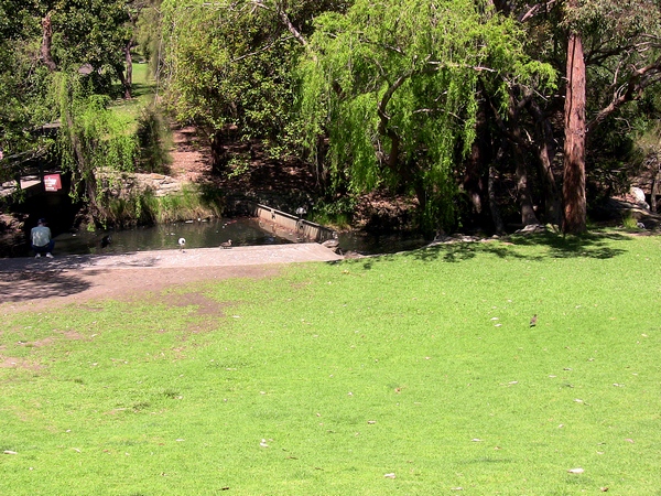 Kareena Park Pond